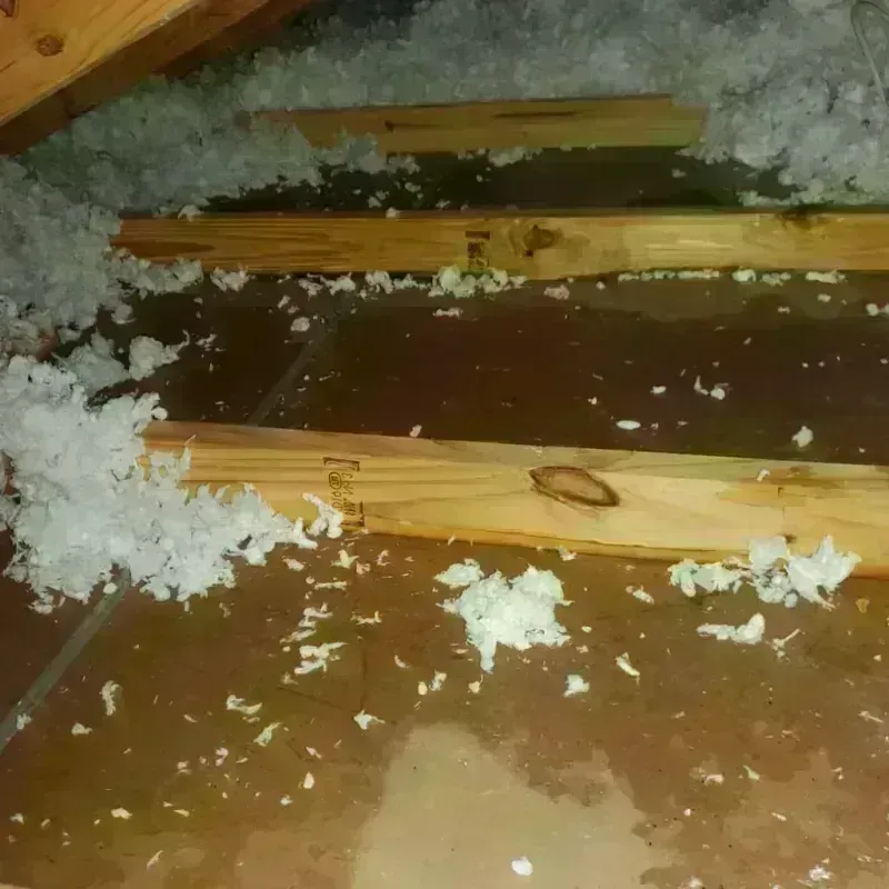 Attic Water Damage in Howard County, AR