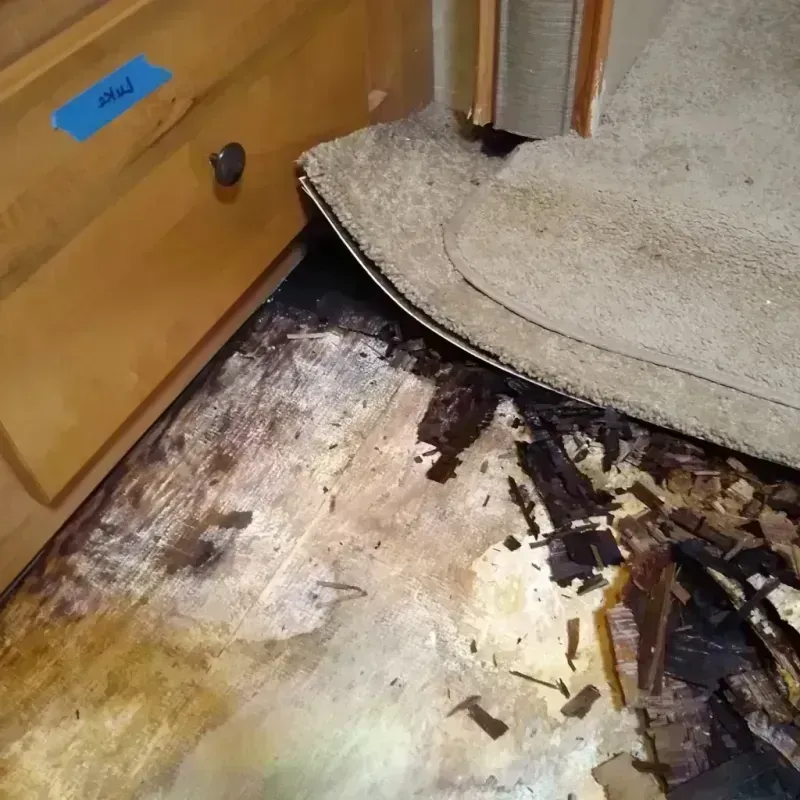 Wood Floor Water Damage in Howard County, AR